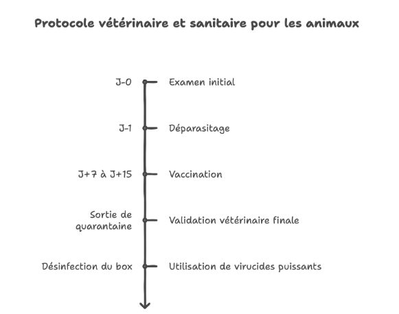 L'importance cruciale de la quarantaine sanitaire à l'arrivée