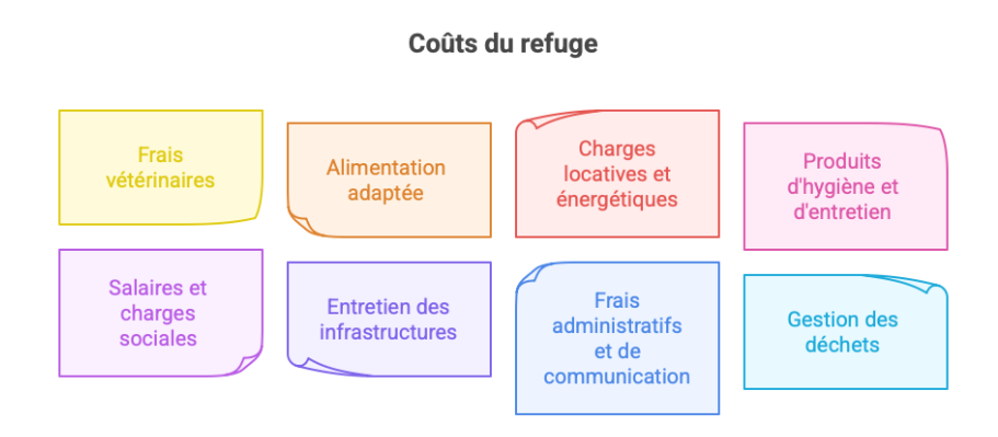 Financement et gestion des ressources limitées